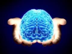 Having poured tsukra on the roof, that diyalnist brain