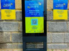 Help Ukraine by planting virtual sunflowers: an unusual project was launched in Prague