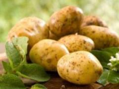 Why do potatoes have a great number of naughty: physicians told