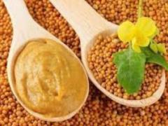 What happens if you eat mustard every day: doctors surprised by the answer