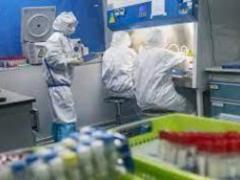 Американские учёные работали по вирусу COVID-19 в нескольких биолабораториях Украины – Fox News