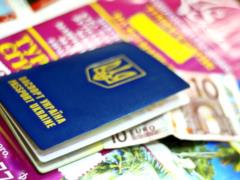 Shmygal did not approve the departure of men abroad on bail: the draft resolution will be finalized