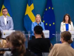 Sweden will buy 40,000 tons of grain from Ukraine for starving peoples