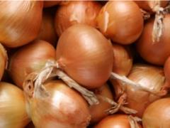 Onions will be in short supply: the harvest in Ukraine is significantly lower than last year, there is not enough vegetables in 