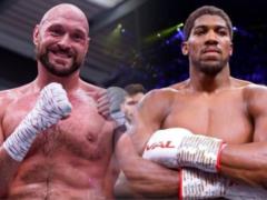 Это против правил : WBC не против, если Фьюри выйдет на ринг с Джошуа, однако не сможет назначить эту защиту титула