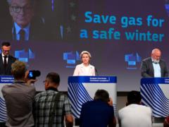 There is no majority in the EU to limit gas prices from the Russian Federation