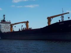 Five more ships with grain and other food left the Black Sea ports