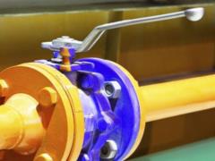 Германия готова к остановке поставок российского газа – Шольц