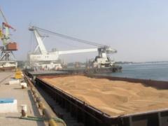 Ukraine will send free grain to Ethiopia and Somalia