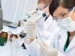 Комиссия авторитетного медицинского журнала The Lancet допустила лабораторное происхождение COVID-19