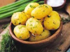 The endocrinologist unraveled the myth about potato failure for the human body