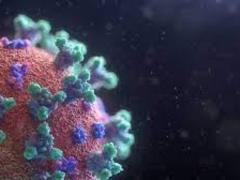 Modifications of the herpes virus can reduce the fluff