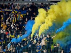 Ukraine will have the third cat during the foaling selection at EURO-2024
