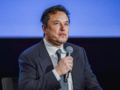 Vice: Musk spoke to Putin before publishing his  peace plan  for Ukraine