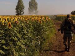 Украинские аграрии больше не хотят ставить рекорды по выращиванию зерна