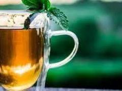 Green tea improves metabolism and uplifts antiquity