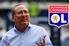 Vlasnik of Botafogo and Crystal Peles coming to Lyon