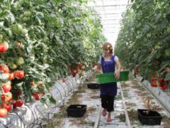 єRobota: more than 400 million hryvnias the government additionally allocated for the development of small businesses