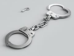 One of the most wanted by the FBI criminals detained in Spain