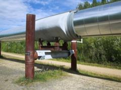 Germany called Moscow s decision to sell oil  