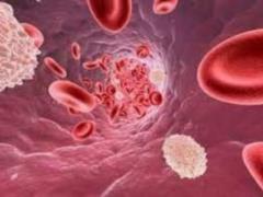 High levels of cholesterol contribute to a rush of blood to the intestines