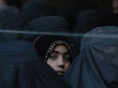Afghan professor tore up his diplomas on live TV to protest ban on women s education
