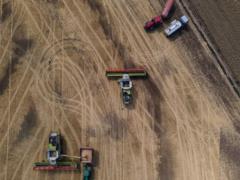 Украина уже обеспечила себя продовольствием на 2023 год