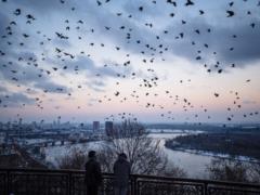 В Киеве и других украинских городах зафиксировали новый температурный рекорд – СМИ