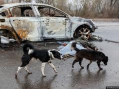 За минувшие сутки ВСУ уничтожили 1020 оккупантов: новые данные Генштаба о потерях РФ