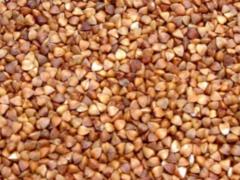 The Cabinet of Ministers allowed the export of buckwheat: the list of goods prohibited for export from Ukraine in 2023 was appro