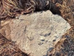 В Таджикистане обнаружили послание, написанное на древнегреческом
