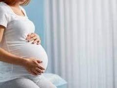 Importance of animal husbandry before women s consultation