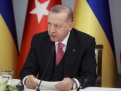 Зеленский после разговора с Эрдоганом: Турция готова принять участие в реализации украинской «формулы мира»