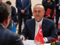 Turkish Foreign Minister supported Zelensky s peace plan