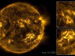 NASA показало четыре месяца жизни Солнца за один час