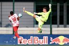 Borussia M replace Sommer with another Swiss