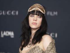 Crazy fan breaks into Billie Eilish s parents  house