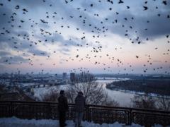Ракетная атака на Киев: в городе есть погибшие и пострадавшие