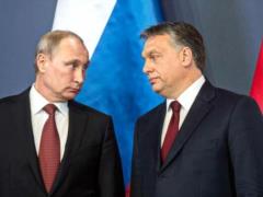 Ferenc Gelencher: Orban is Putin s henchman. But the Hungarians and Hungary are not equal to the prime minister 