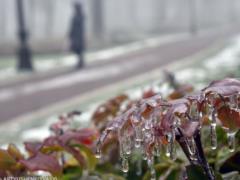 Without frost and snowstorms: weather forecasters told how February will be in Kyiv