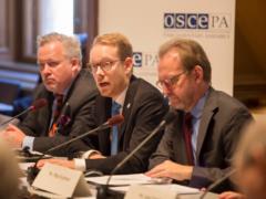 The process of Sweden s accession to NATO is suspended? What did the Foreign Minister mean?