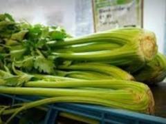The doctor called a vegetable that reduces blood pressure - contains  