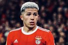 Chelsea and Benfica talked about the transfer of Enzo Fernandez - journalist