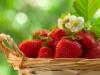 The Right Diet Reduces PMS Symptoms by 40 Percent