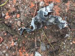 Войска РФ нанесли ракетный удар по Славянску: повреждено предприятие