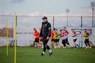 Virt: Serious physical challenge is checked for the team
