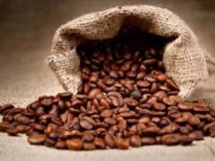 Vcheni rozpoviti, which product can grow a rank kava korisnishoy