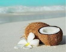 Castor oil, coconut, corn: the benefits of essential oils