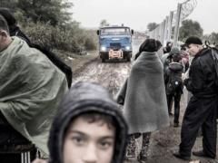 Незаконные мигранты с территории Беларуси снова пытаются попасть в Польшу
