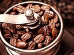 Professor Kutushov explained why he refused coffee